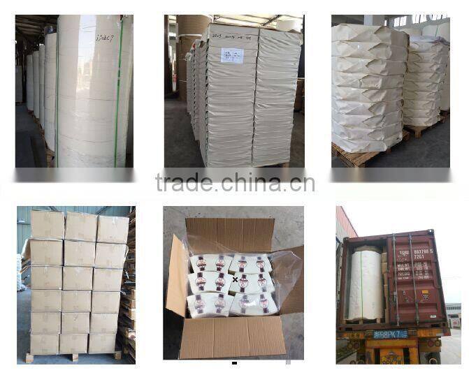 pe coated paper sheet/Base Paper/Fan-shape paper