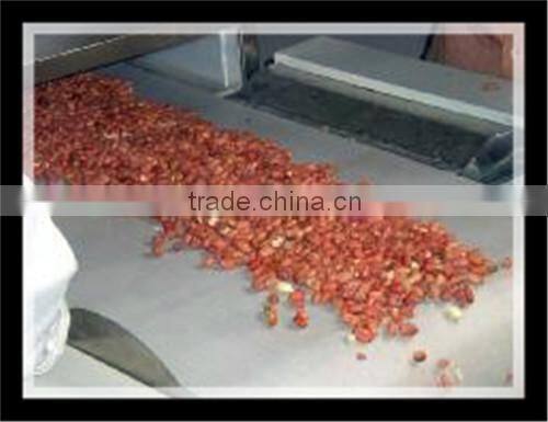 Automatic Electric Peanut Roaster machine Peanut Baking machine