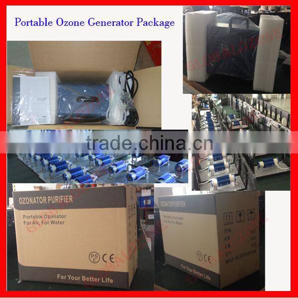 4 LPM mini portable air pump for ozone generator