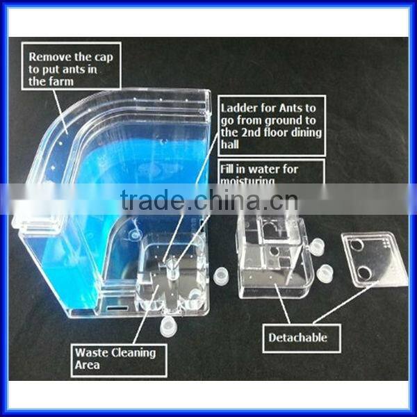 High quality Wholesale Magic Toy Ant Farm for children Education of Ant Worker