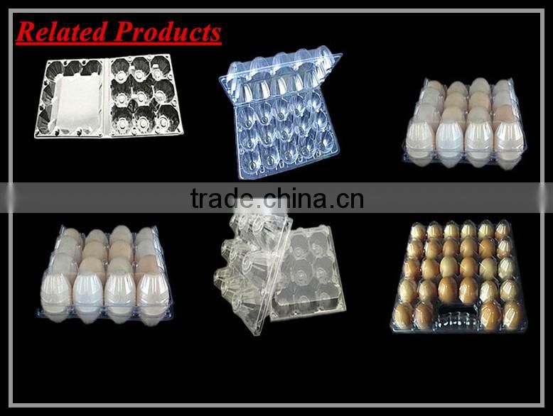 High quality clear transparent plastic quail egg cartons for sale