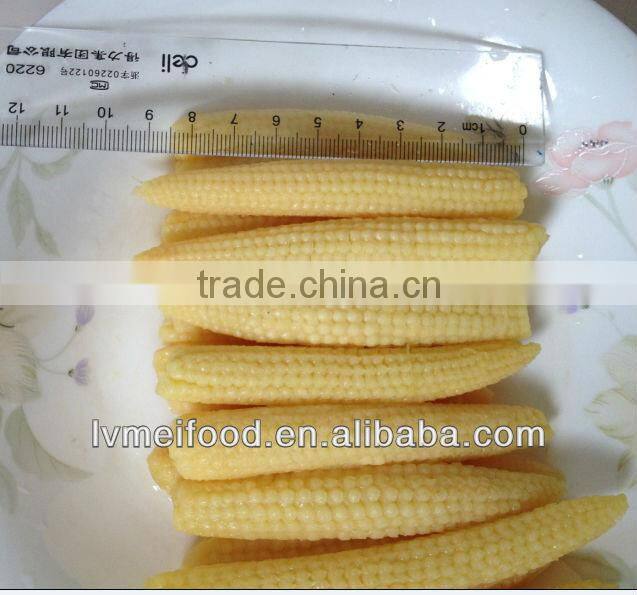 Canned Baby Corn