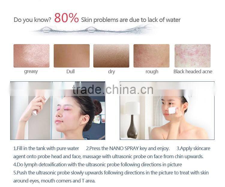 Facial Ice Steamer Face Steam Spa Beauty Salon Equipment