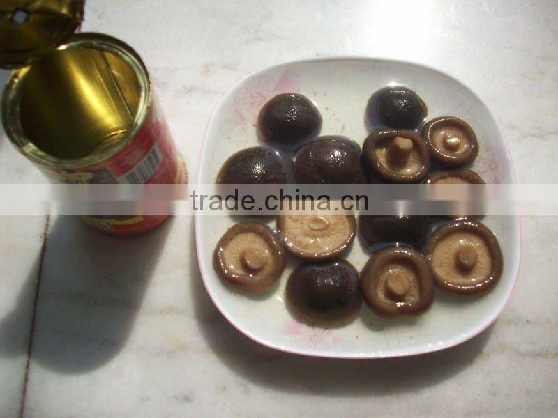 800g choice shiitake mushroom whole