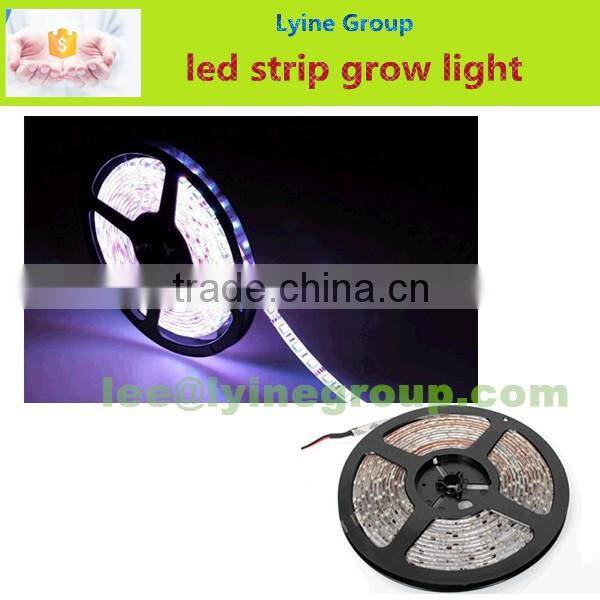 AC/DC 12 led neon flexible bendable led strip 5050
