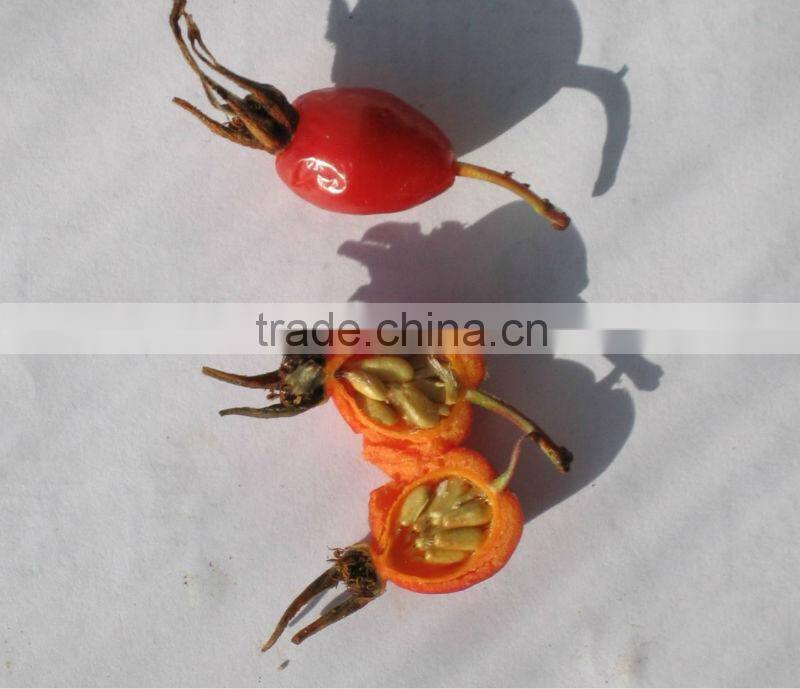 2016 New Crop Rosehip Shell Wild Dried Rosehip Shell
