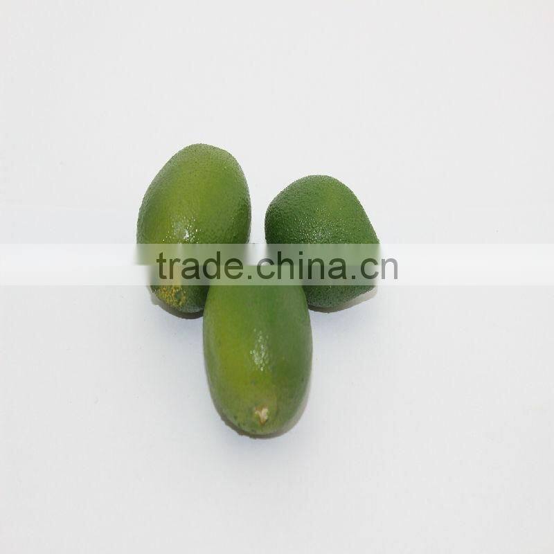 Artificial mini fake orange simulation vegetables faux food house decoration/Orange prop for sketching tool