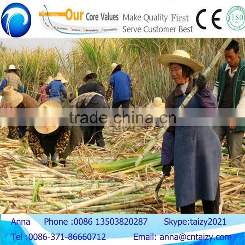Diesel engine power sugar cane leaf stripping machine