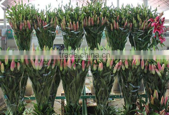 Beautiful fresh cut lily flower Fresh-Cut flowers for banquet