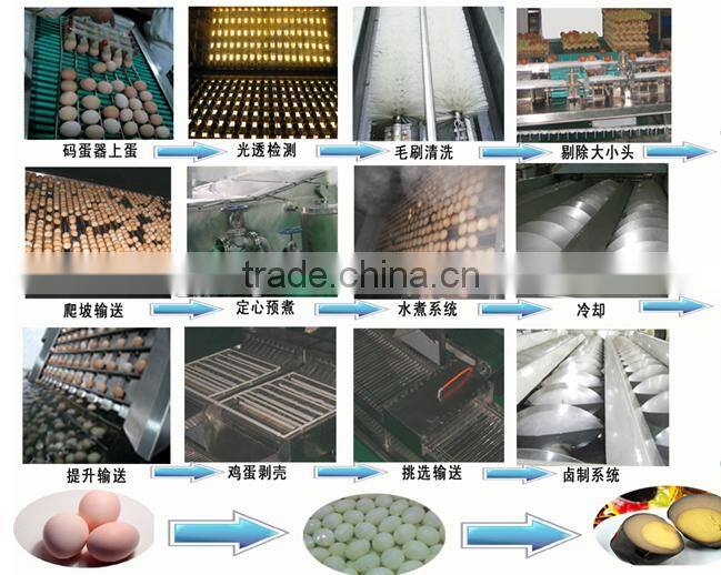 Various Stainless Steel 304 automatic quail egg peeler line