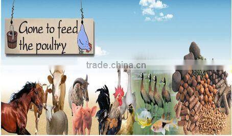 CE approved 2.2kw hammer mill crusher hammer mill feed grinder /sawdust hammer mill