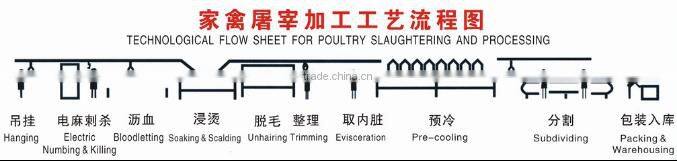 Chicken Processing Plant Machine chicken Slaughter Machine Slaughering equipment for chicken