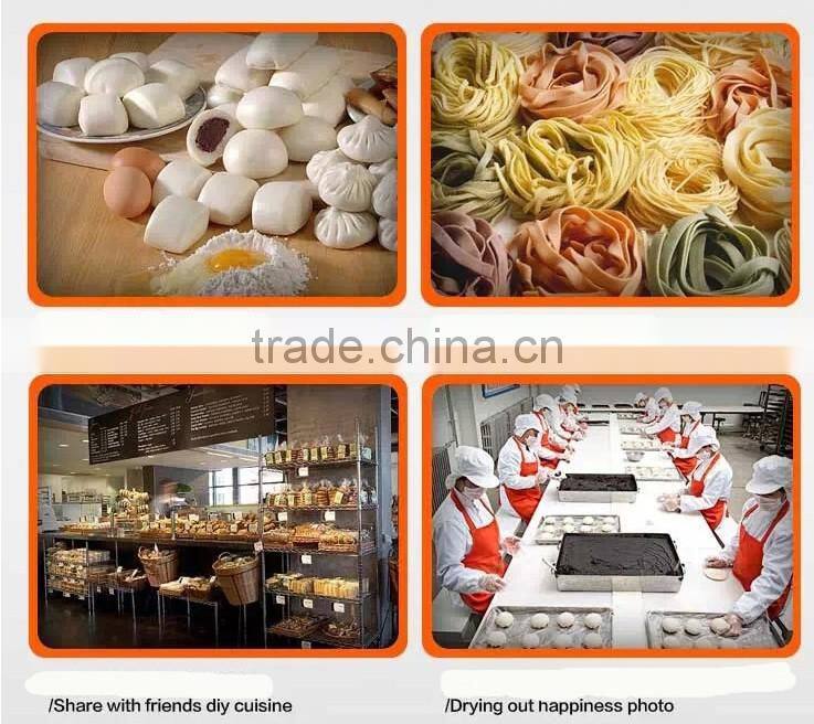 25kg mixing capacity Stainless Steel Flour Mixing Machine/Dough kneading machine/Dough mixer