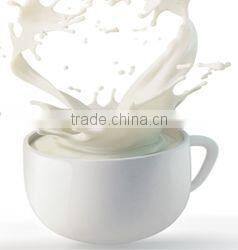 Promotion gift breakfast 7 eggs egg boiler