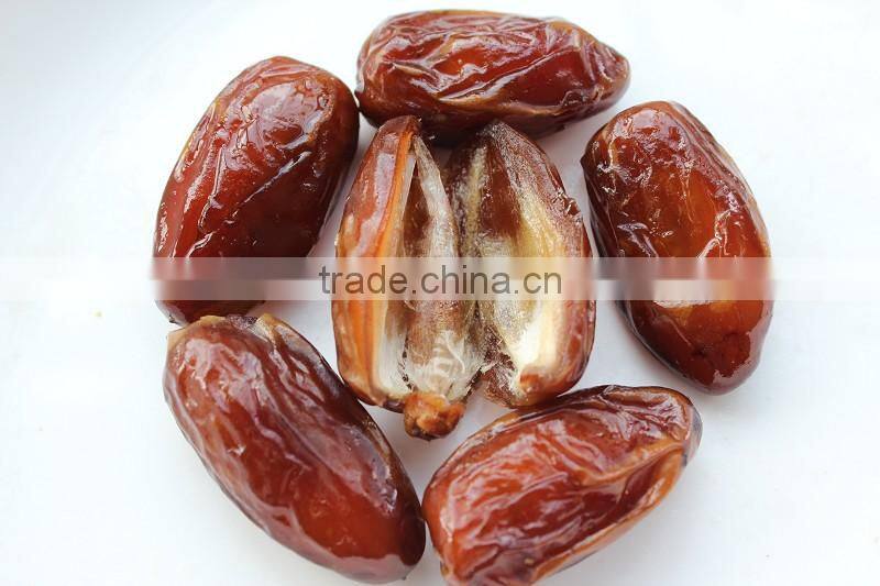 Palm dates Multiple layer continuous type mesh belt dryer