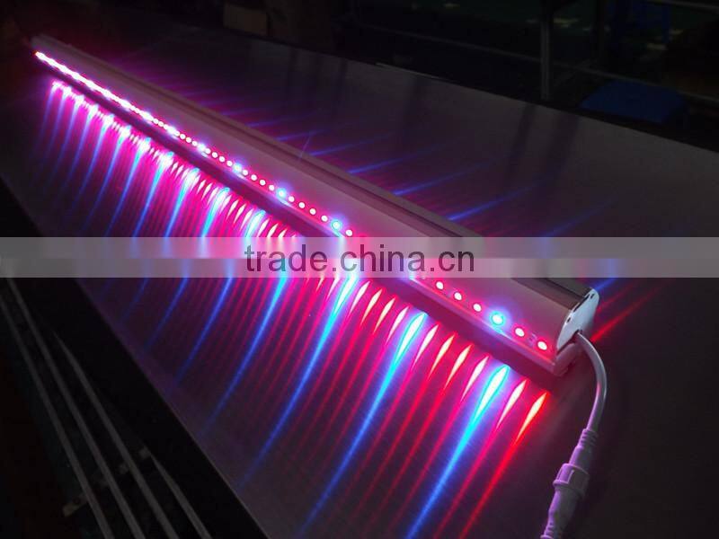 High PAR interlighting 150W LED grow light bar cucumber tomato strawberry
