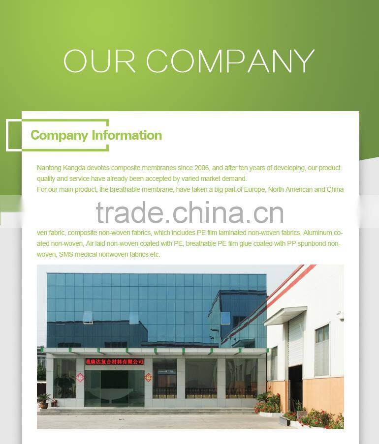 PE film coat airlaid nonwoven fabric