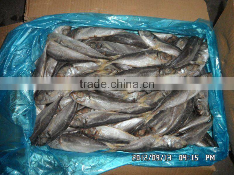 70-90g big eyes frozen horse mackerel