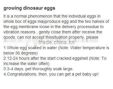 Hot ! Growing Animal Hatching Dinosaur Eggs Toy Fracture Water Eggs For Learning Educational Toy