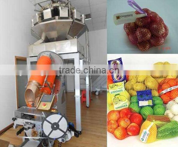 Chinese Hot Product High Quality PE Raschel Garlic Mesh Bag for Sale