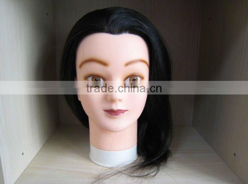 Beauty School Human Hair Trainning Head Salon Teaching Head Hair Styling Head