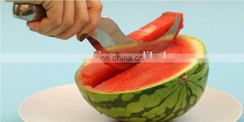 Watermelon Slicer Cutter Knife Corer Server Stainless Steel Kitchen Fruit Tool