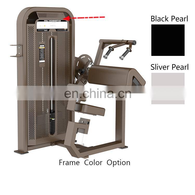 Dhz E5030 Exercise Equipment Body Building Gym Fitness Pin Load Selection Machines