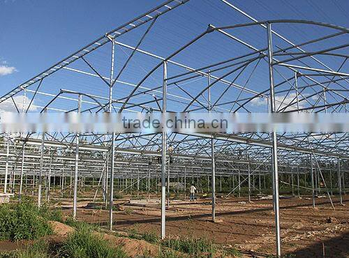 cheap insect proof net greenhouse