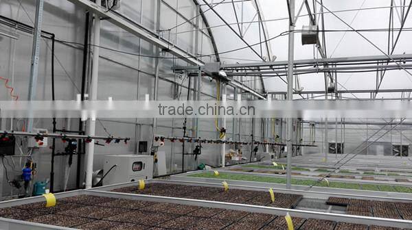 Hot Sale Multi-span Greenhouses for Agriculture Used