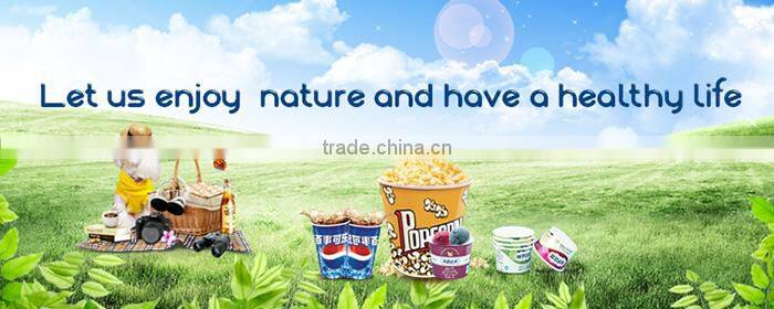 OEM Promotional Beautiful Recycle Paper Bag