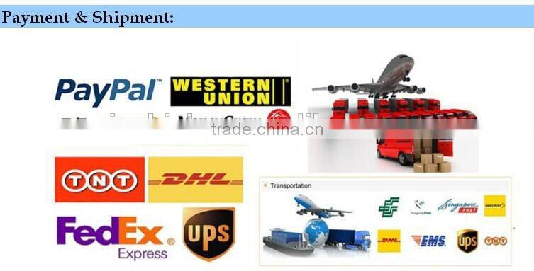 T0520-1China supplier fashion OEM design corded lace trim floral voile saree border