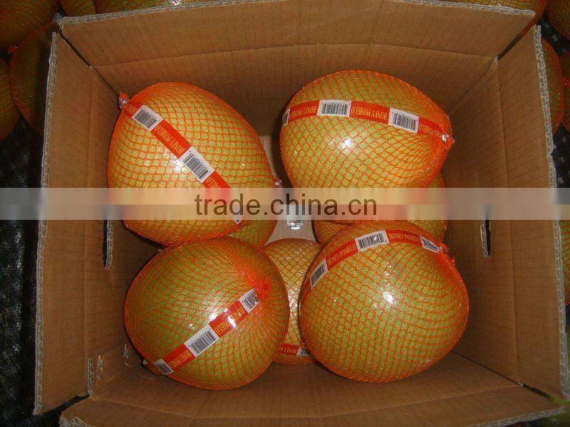 Pomelo,Fresh Pomelo,Honey Pomelo