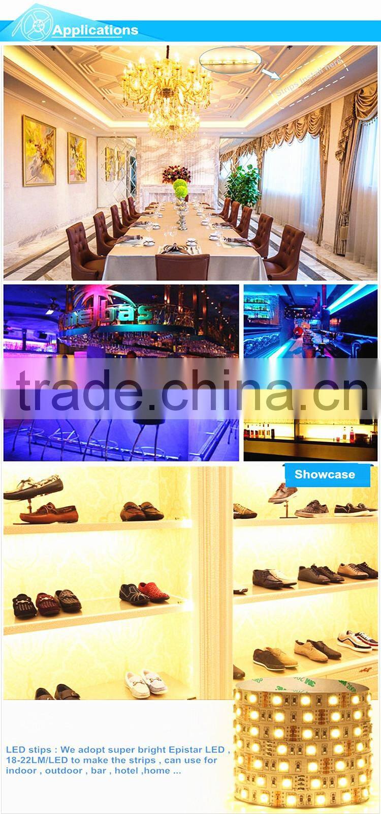 12V Light LED Strip Waterproof Non Waterproof LED Light Swimming Pool Rope Light