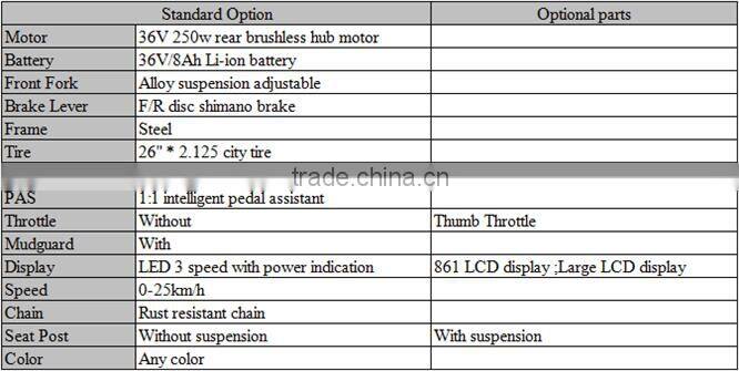 Flyer Cheap but Good electric bicycle with high quality