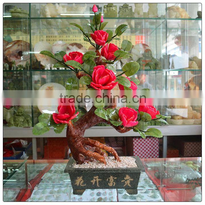 jade Rose Plants 8 flower , jade money tree