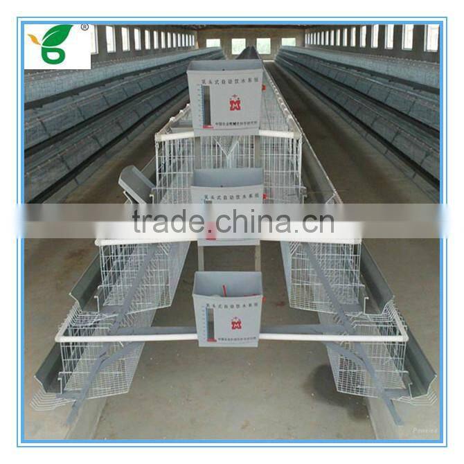 high efficiency automatic egg collection system