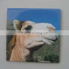 fridge magnet material