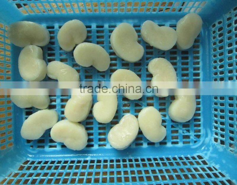 our best selling marine food frozen comb pen shell