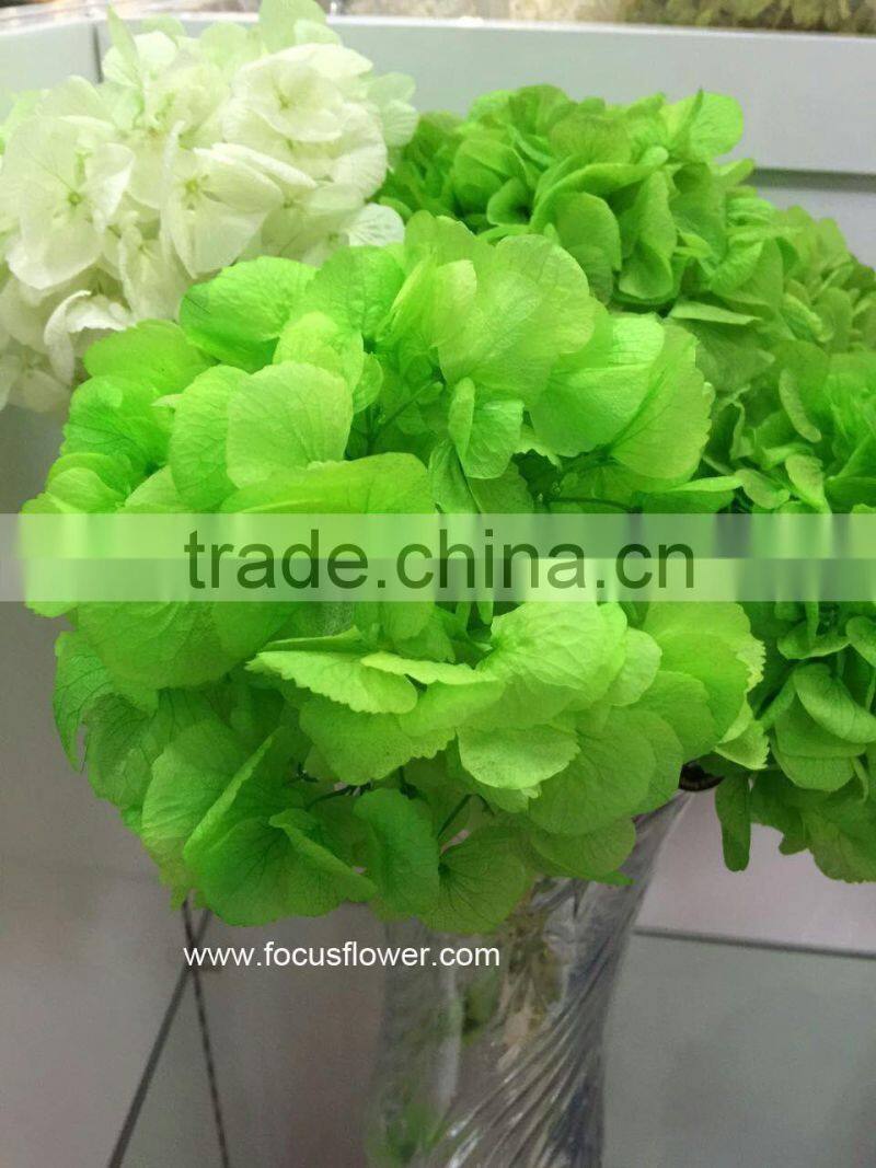 Flower Wedding Wholesale Preserved Flower Pink Hydrangea Macrophylla In Gift Box