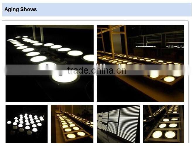 CE RoHS15w 20w 25w 30w Adjustable COB LED Trunk Light indoor