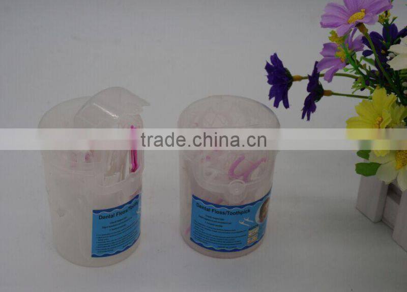 Two-pack plastic toothpicks in plastic toothpick dispenser