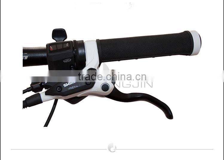 Carbon Fiber MTB Bicycles