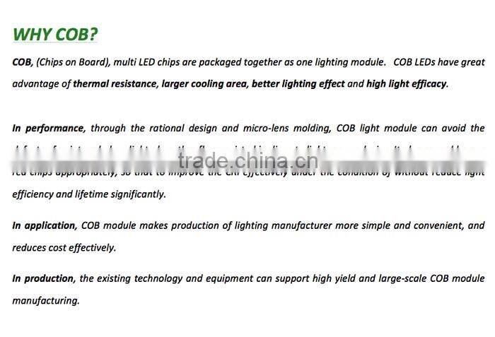 HIGH LUMEN COB LEDS