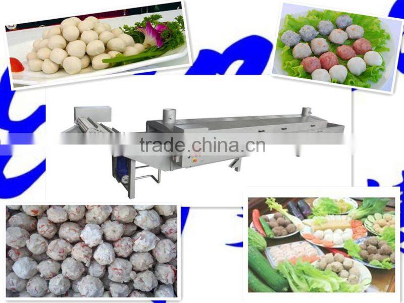 Expro BWTJ-800 meatball boiler