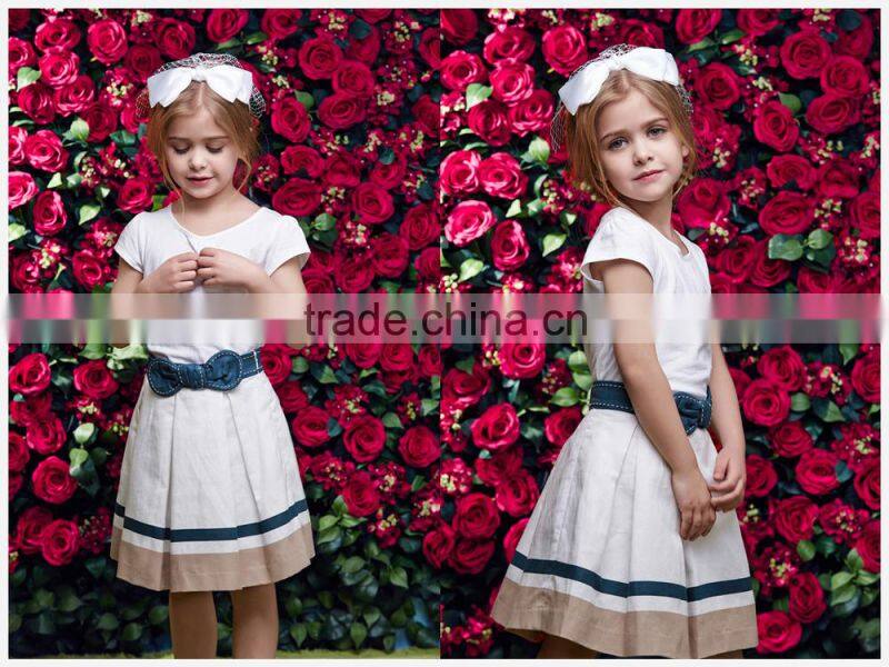 New model girl skirt 2015 for little queen kids cloth wholesale china