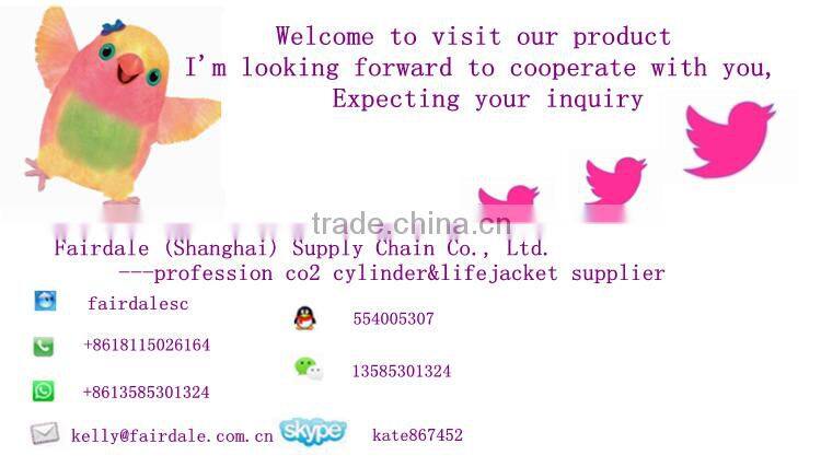 Hot selling 60g co2 cylinder manufactured in China