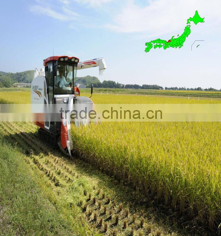 High quality and Various types of alibaba wholesale rice at reasonable prices