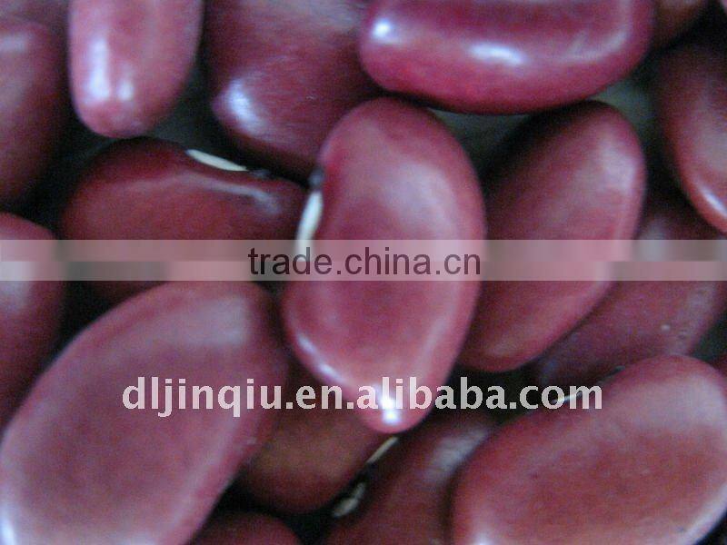 small red kidney bean 2012 crop