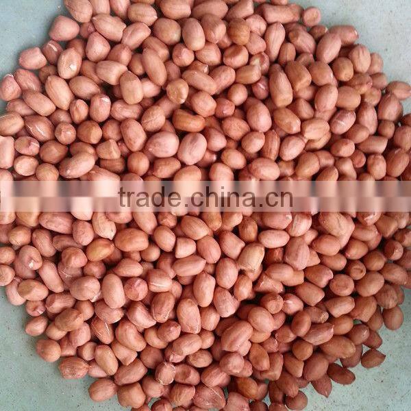 Chinese round shape raw ground nut kernels