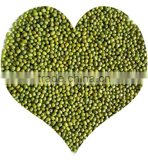 JSX New crop white beans tasty best quality navy white beans